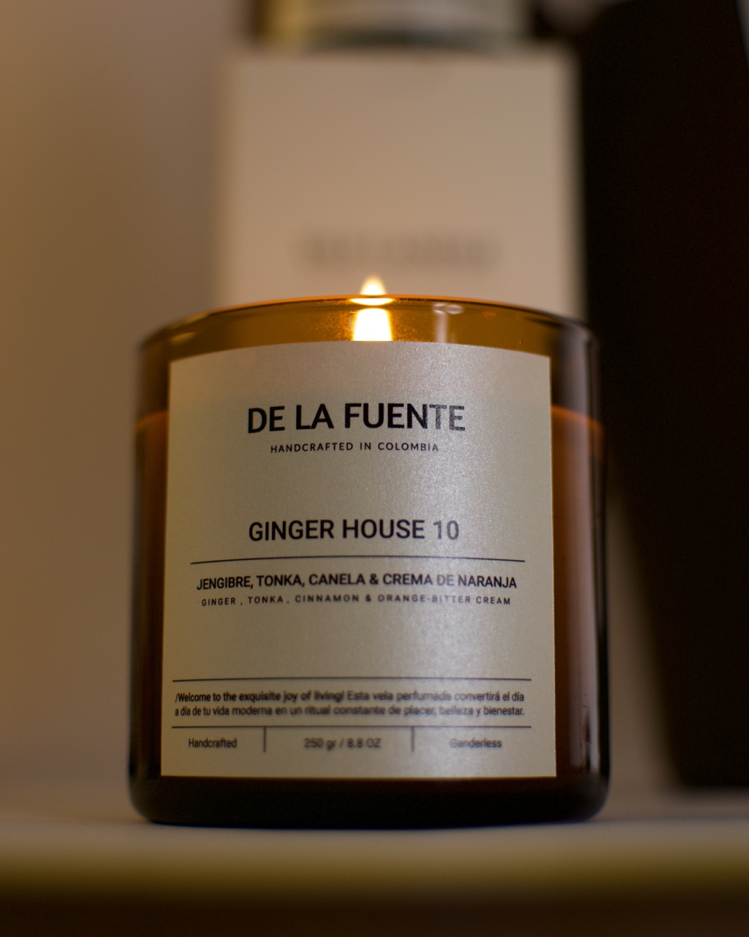 GINGER HOUSE - Ámbar.